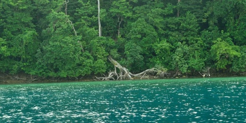 Andaman and Nicobar Packages